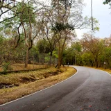 Marayoor Sandalwood Forest Idukki 